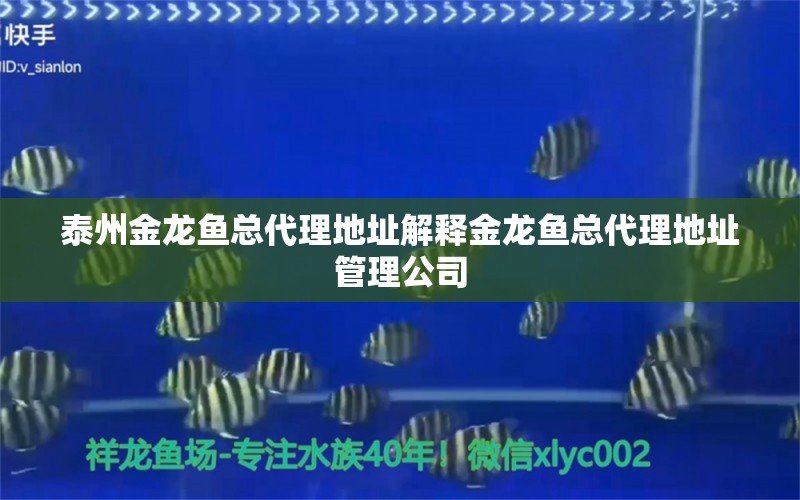 泰州金龍魚總代理地址解釋金龍魚總代理地址管理公司