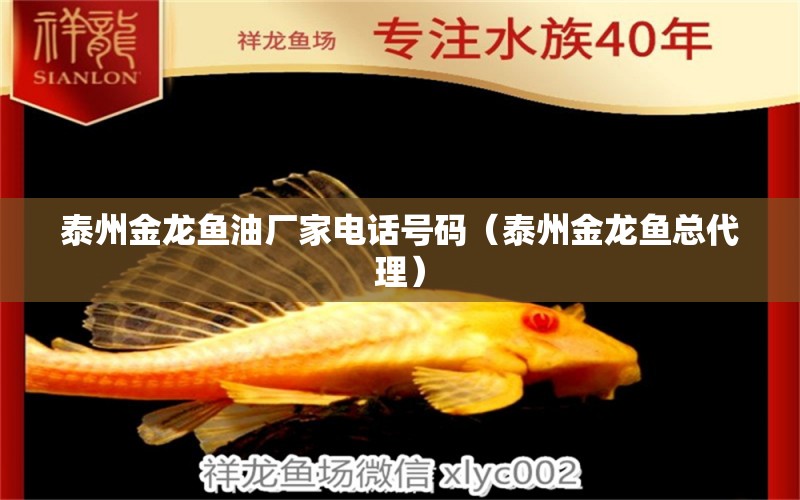 泰州金龍魚油廠家電話號碼（泰州金龍魚總代理） 撒旦鴨嘴魚