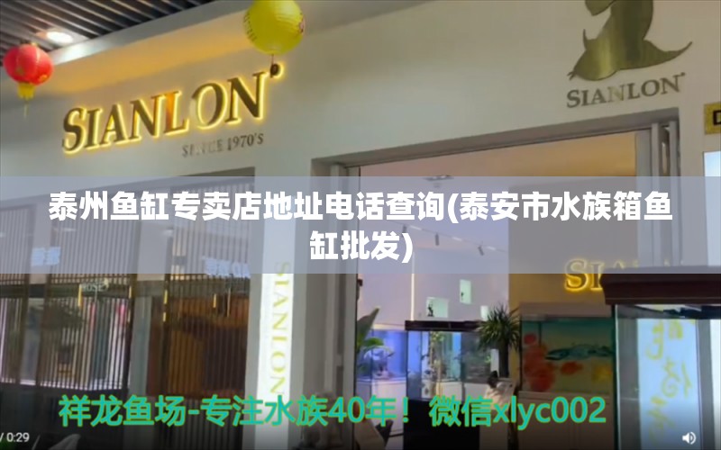 泰州魚缸專賣店地址電話查詢(泰安市水族箱魚缸批發(fā)) 魚缸/水族箱 第1張