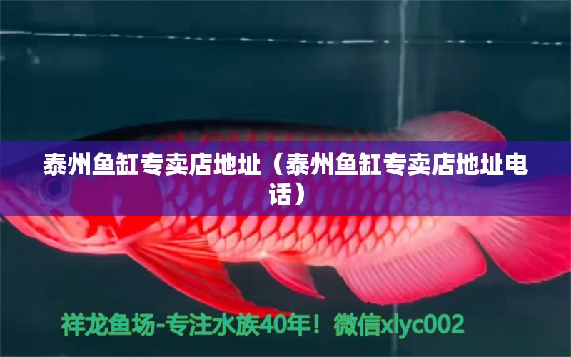 泰州魚缸專賣店地址（泰州魚缸專賣店地址電話） 其他品牌魚缸