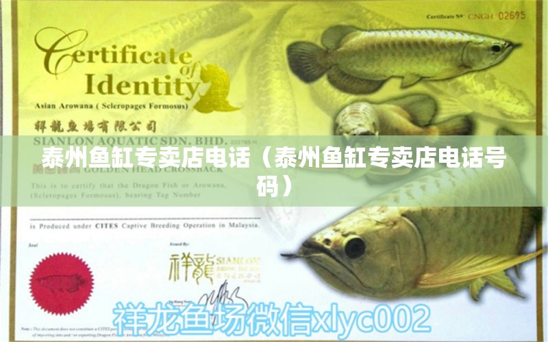 泰州魚缸專賣店電話（泰州魚缸專賣店電話號(hào)碼） 其他品牌魚缸