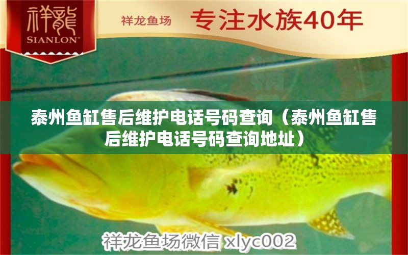 泰州魚缸售后維護電話號碼查詢（泰州魚缸售后維護電話號碼查詢地址） 其他品牌魚缸