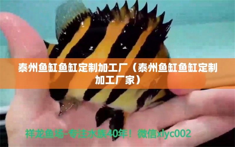 泰州魚缸魚缸定制加工廠（泰州魚缸魚缸定制加工廠家） 其他品牌魚缸