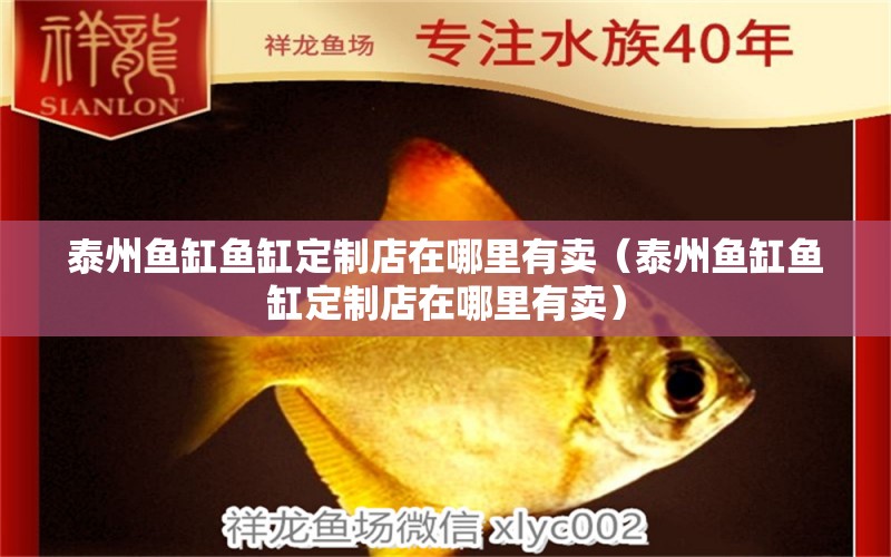 泰州魚缸魚缸定制店在哪里有賣（泰州魚缸魚缸定制店在哪里有賣） 大正錦鯉魚