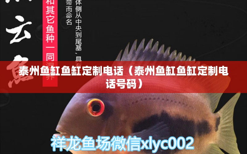 泰州魚(yú)缸魚(yú)缸定制電話（泰州魚(yú)缸魚(yú)缸定制電話號(hào)碼）