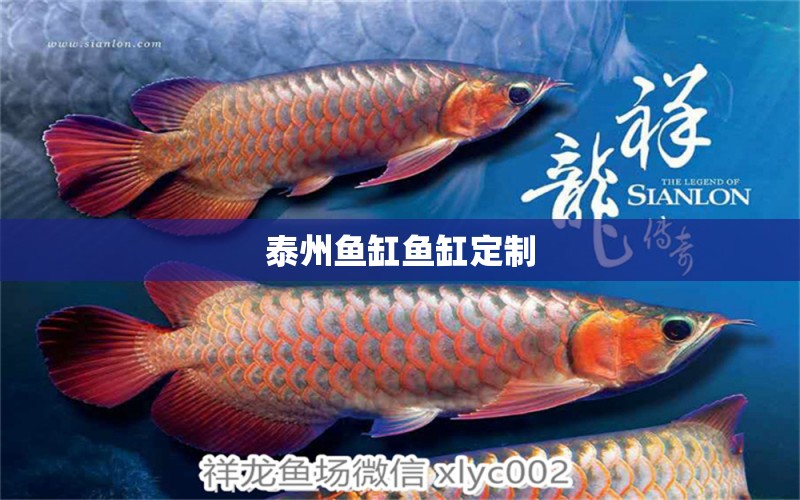 泰州魚(yú)缸魚(yú)缸定制 其他品牌魚(yú)缸