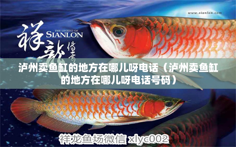 瀘州賣(mài)魚(yú)缸的地方在哪兒呀電話（瀘州賣(mài)魚(yú)缸的地方在哪兒呀電話號(hào)碼）