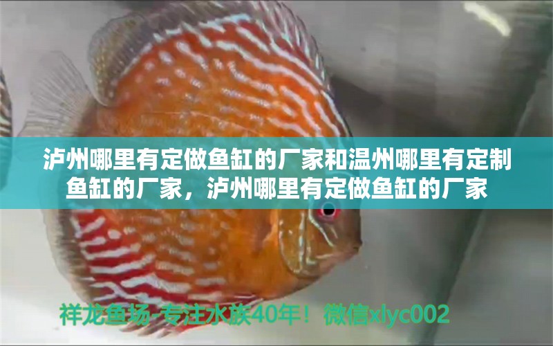 瀘州哪里有定做魚(yú)缸的廠家和溫州哪里有定制魚(yú)缸的廠家，瀘州哪里有定做魚(yú)缸的廠家 赤焰中國(guó)虎魚(yú) 第1張