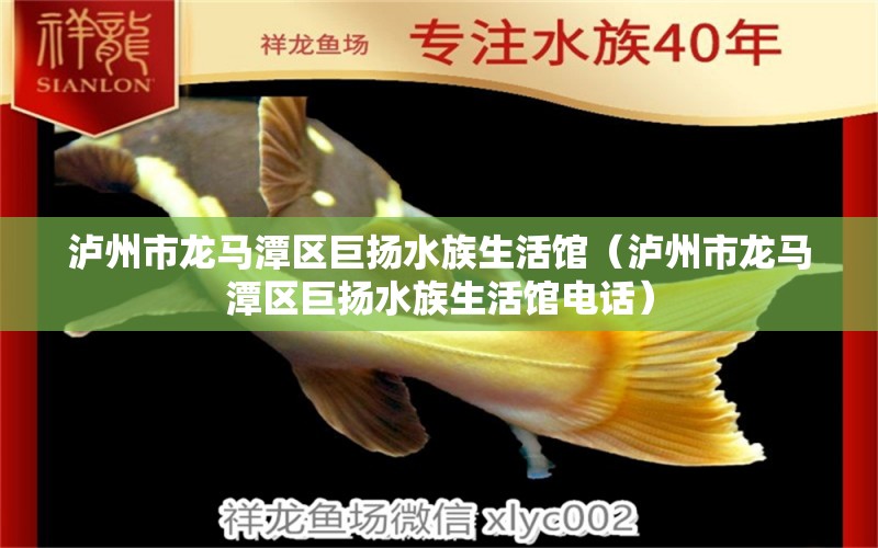 瀘州市龍馬潭區(qū)巨揚(yáng)水族生活館（瀘州市龍馬潭區(qū)巨揚(yáng)水族生活館電話）