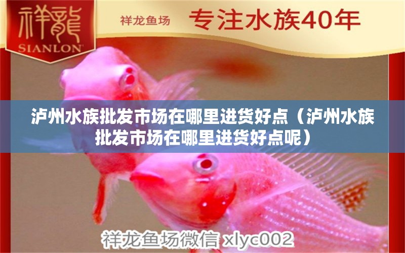 瀘州水族批發(fā)市場在哪里進貨好點（瀘州水族批發(fā)市場在哪里進貨好點呢）