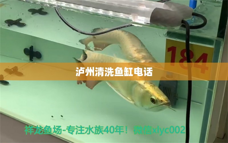 瀘州清洗魚缸電話 其他品牌魚缸