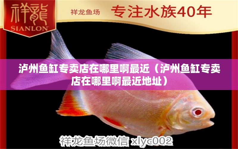 瀘州魚缸專賣店在哪里啊最近（瀘州魚缸專賣店在哪里啊最近地址）