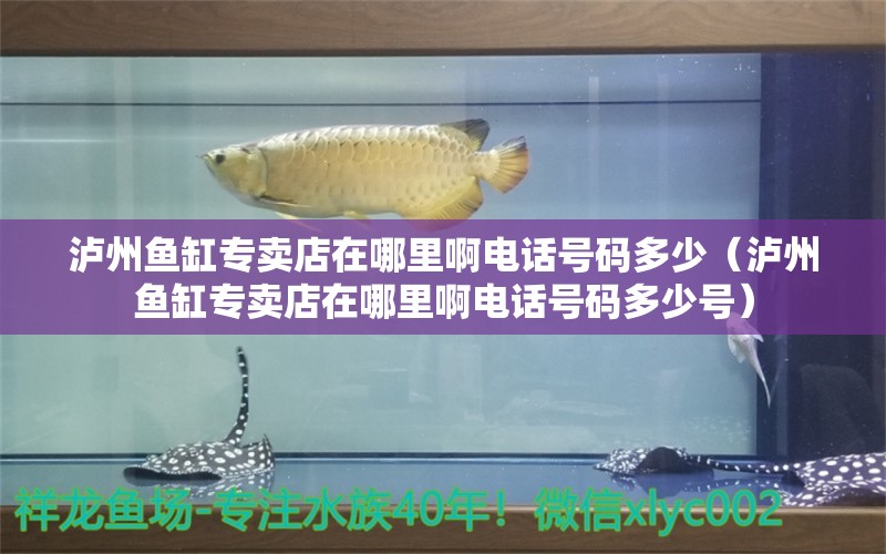 瀘州魚缸專賣店在哪里啊電話號(hào)碼多少（瀘州魚缸專賣店在哪里啊電話號(hào)碼多少號(hào)）