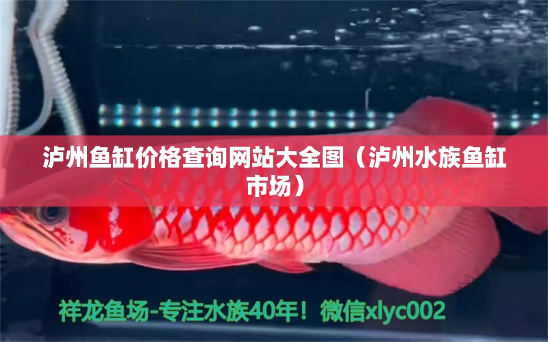 瀘州魚缸價格查詢網(wǎng)站大全圖（瀘州水族魚缸市場）