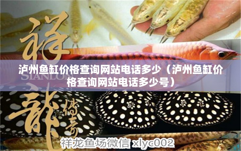 瀘州魚缸價(jià)格查詢網(wǎng)站電話多少（瀘州魚缸價(jià)格查詢網(wǎng)站電話多少號(hào)） 刀魚魚