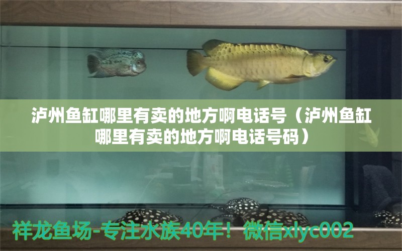 瀘州魚缸哪里有賣的地方啊電話號(hào)（瀘州魚缸哪里有賣的地方啊電話號(hào)碼） 祥龍水族醫(yī)院