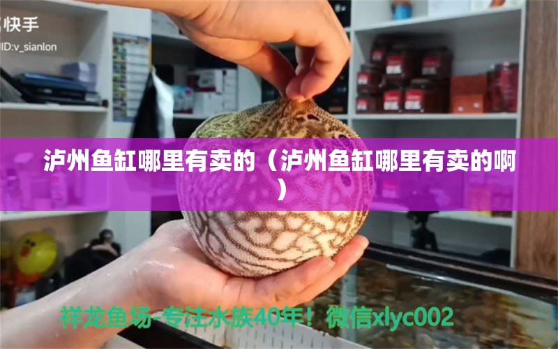 瀘州魚缸哪里有賣的（瀘州魚缸哪里有賣的?。? title=