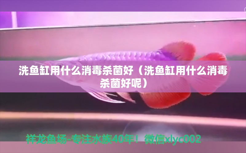 洗魚缸用什么消毒殺菌好（洗魚缸用什么消毒殺菌好呢） 馬拉莫寶石魚