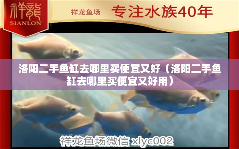 洛陽(yáng)二手魚(yú)缸去哪里買便宜又好（洛陽(yáng)二手魚(yú)缸去哪里買便宜又好用）