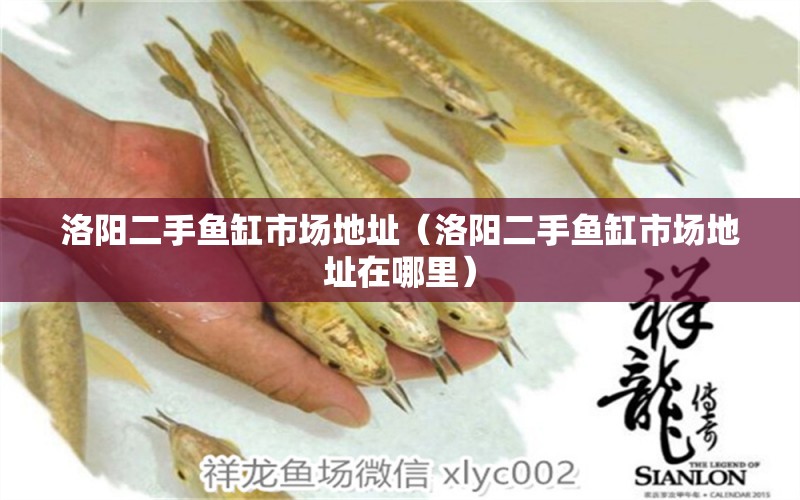 洛陽二手魚缸市場(chǎng)地址（洛陽二手魚缸市場(chǎng)地址在哪里）