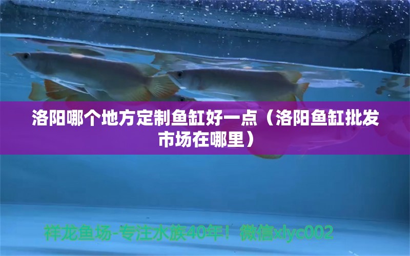 洛陽哪個地方定制魚缸好一點（洛陽魚缸批發(fā)市場在哪里）