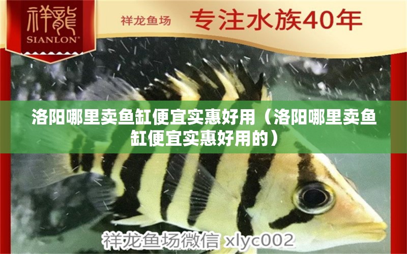 洛陽(yáng)哪里賣(mài)魚(yú)缸便宜實(shí)惠好用（洛陽(yáng)哪里賣(mài)魚(yú)缸便宜實(shí)惠好用的）