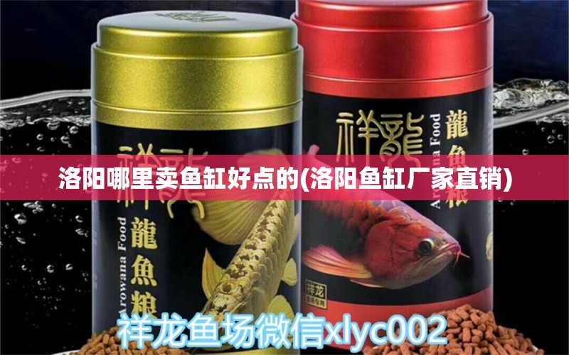 洛陽哪里賣魚缸好點(diǎn)的(洛陽魚缸廠家直銷) 虎魚魚苗