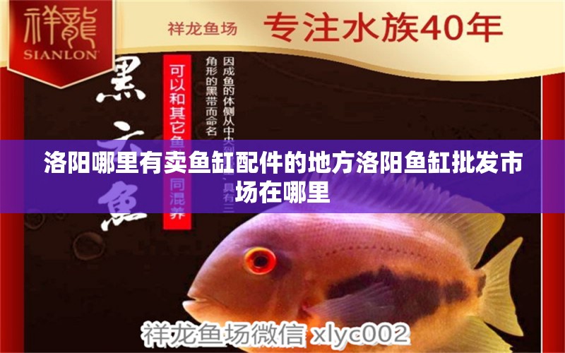 洛陽哪里有賣魚缸配件的地方洛陽魚缸批發(fā)市場在哪里 野彩魚