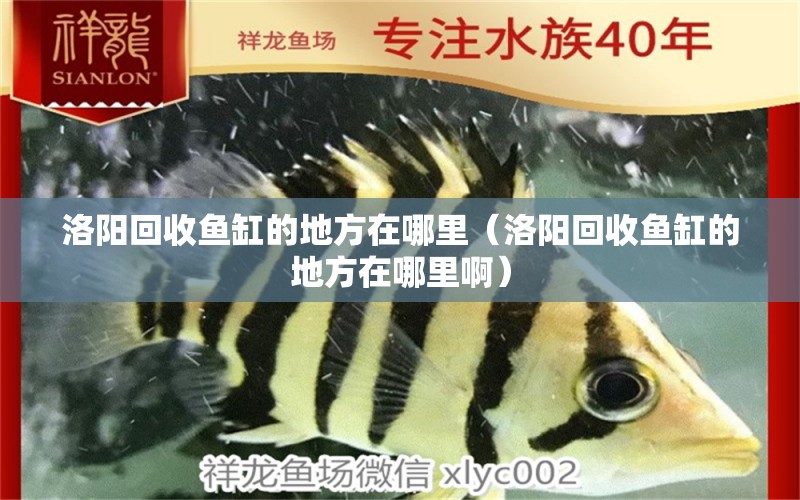 洛陽回收魚缸的地方在哪里（洛陽回收魚缸的地方在哪里?。? title=