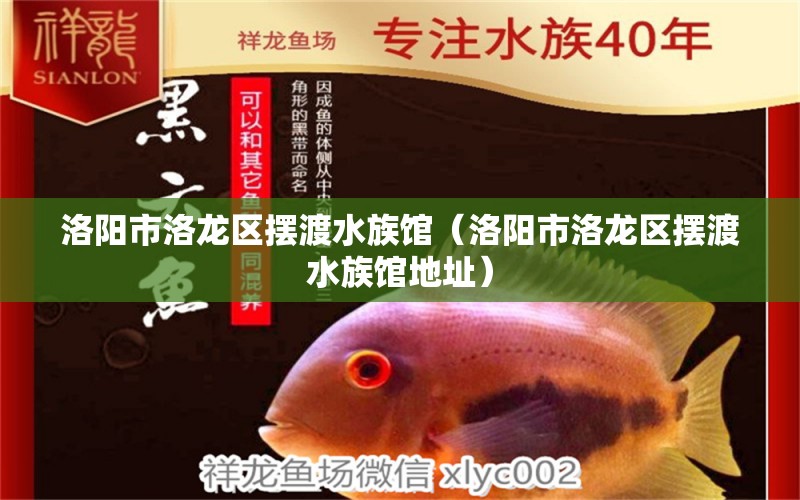 洛陽(yáng)市洛龍區(qū)擺渡水族館（洛陽(yáng)市洛龍區(qū)擺渡水族館地址） 全國(guó)水族館企業(yè)名錄