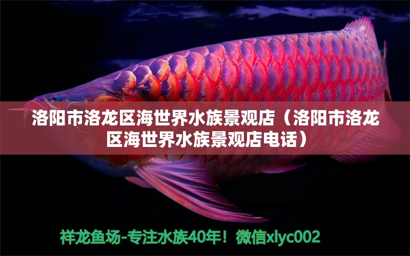 洛陽(yáng)市洛龍區(qū)海世界水族景觀店（洛陽(yáng)市洛龍區(qū)海世界水族景觀店電話）