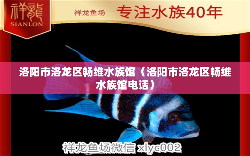 洛陽市洛龍區(qū)暢維水族館（洛陽市洛龍區(qū)暢維水族館電話）