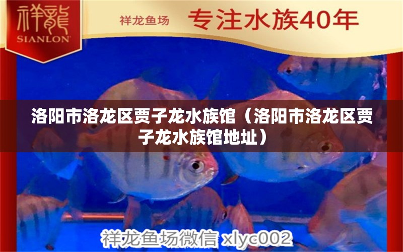 洛陽市洛龍區(qū)賈子龍水族館（洛陽市洛龍區(qū)賈子龍水族館地址）