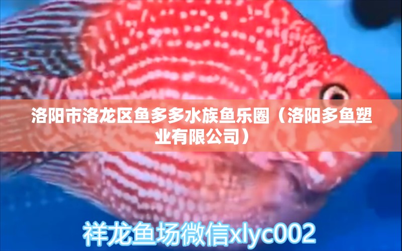 洛陽(yáng)市洛龍區(qū)魚(yú)多多水族魚(yú)樂(lè)圈（洛陽(yáng)多魚(yú)塑業(yè)有限公司） 全國(guó)水族館企業(yè)名錄