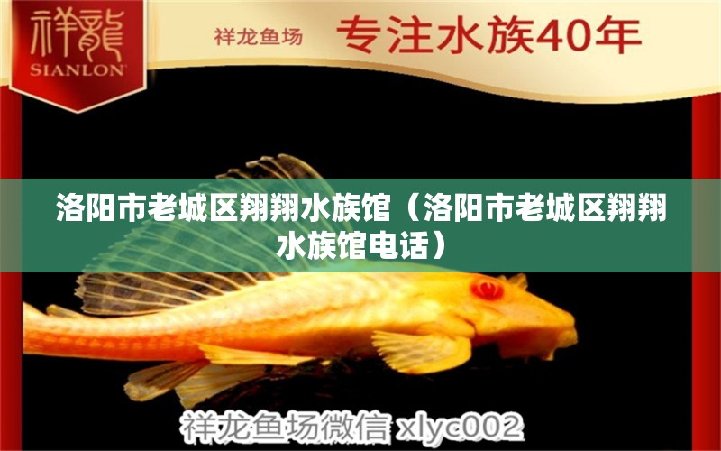 洛陽市老城區(qū)翔翔水族館（洛陽市老城區(qū)翔翔水族館電話） 全國水族館企業(yè)名錄