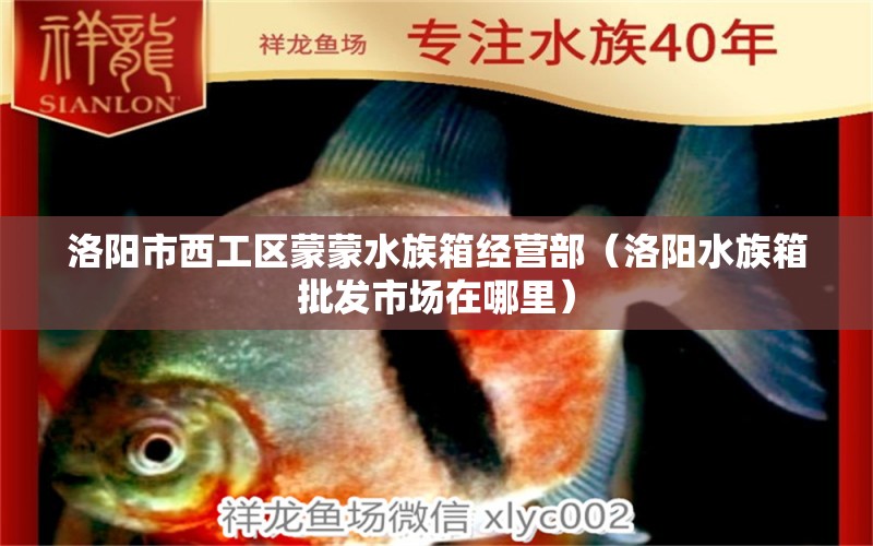 洛陽市西工區(qū)蒙蒙水族箱經(jīng)營部（洛陽水族箱批發(fā)市場在哪里） 魚缸/水族箱