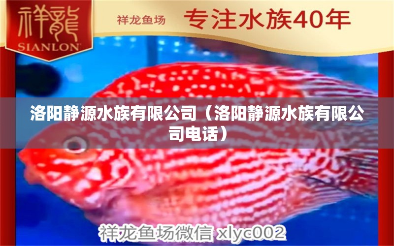 洛陽靜源水族有限公司（洛陽靜源水族有限公司電話）