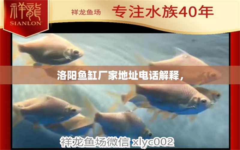 洛陽魚缸廠家地址電話解釋， 巨骨舌魚