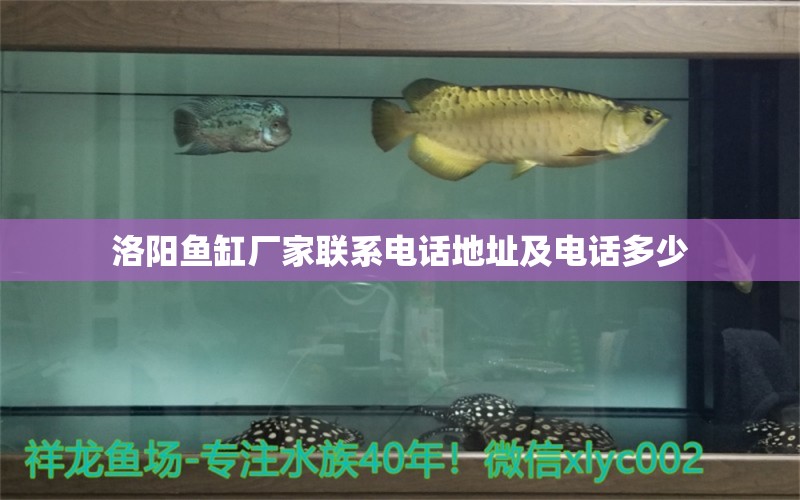 洛陽(yáng)魚(yú)缸廠家聯(lián)系電話地址及電話多少