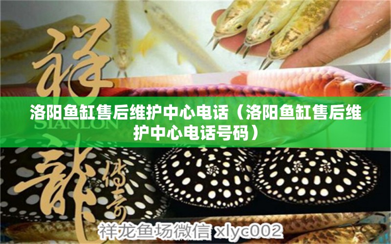 洛陽(yáng)魚(yú)缸售后維護(hù)中心電話（洛陽(yáng)魚(yú)缸售后維護(hù)中心電話號(hào)碼）