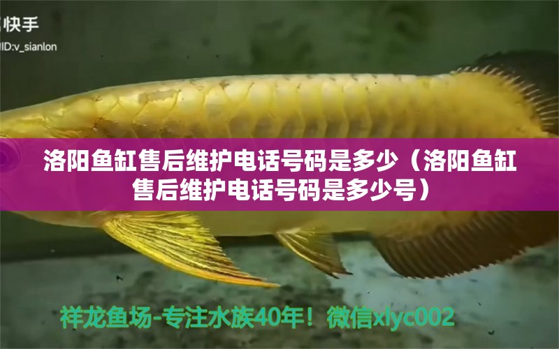 洛陽(yáng)魚(yú)缸售后維護(hù)電話號(hào)碼是多少（洛陽(yáng)魚(yú)缸售后維護(hù)電話號(hào)碼是多少號(hào)）