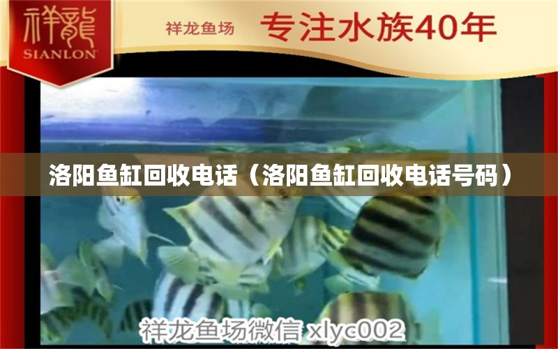 洛陽魚缸回收電話（洛陽魚缸回收電話號(hào)碼）