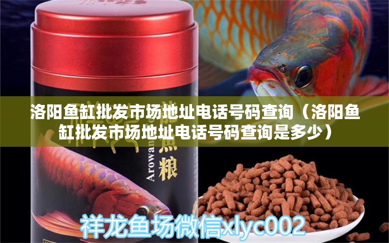 洛陽魚缸批發(fā)市場(chǎng)地址電話號(hào)碼查詢（洛陽魚缸批發(fā)市場(chǎng)地址電話號(hào)碼查詢是多少）