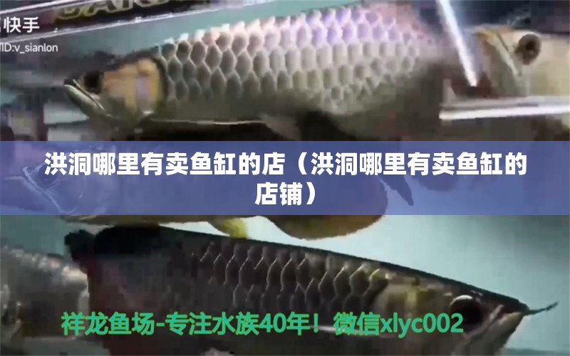 洪洞哪里有賣魚缸的店（洪洞哪里有賣魚缸的店鋪） 祥龍水族醫(yī)院