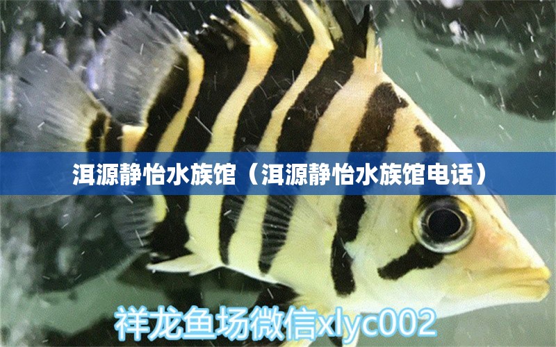 洱源靜怡水族館（洱源靜怡水族館電話）