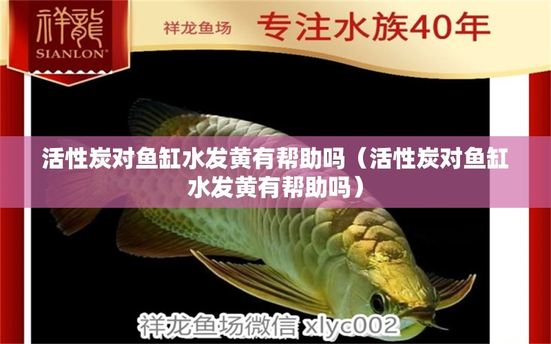 活性炭對(duì)魚缸水發(fā)黃有幫助嗎（活性炭對(duì)魚缸水發(fā)黃有幫助嗎） 全國(guó)水族館企業(yè)名錄