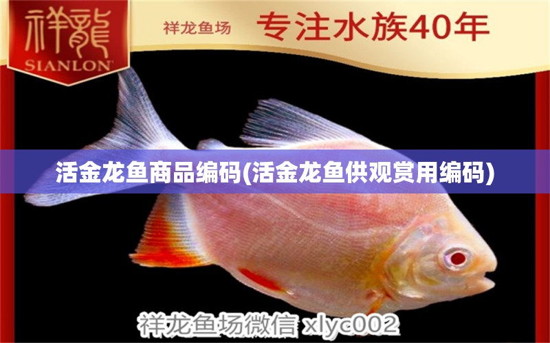 活金龍魚商品編碼(活金龍魚供觀賞用編碼)