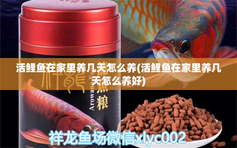 活鯉魚在家里養(yǎng)幾天怎么養(yǎng)(活鯉魚在家里養(yǎng)幾天怎么養(yǎng)好) 祥龍傳奇品牌魚缸