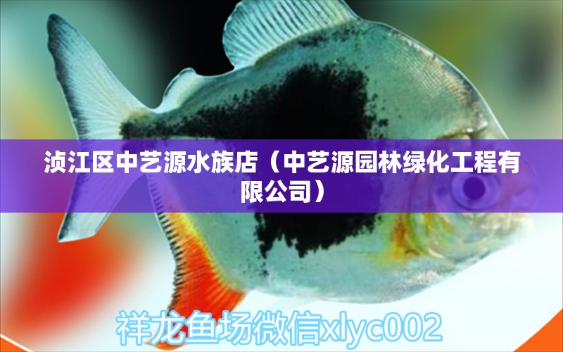 湞江區(qū)中藝源水族店（中藝源園林綠化工程有限公司）