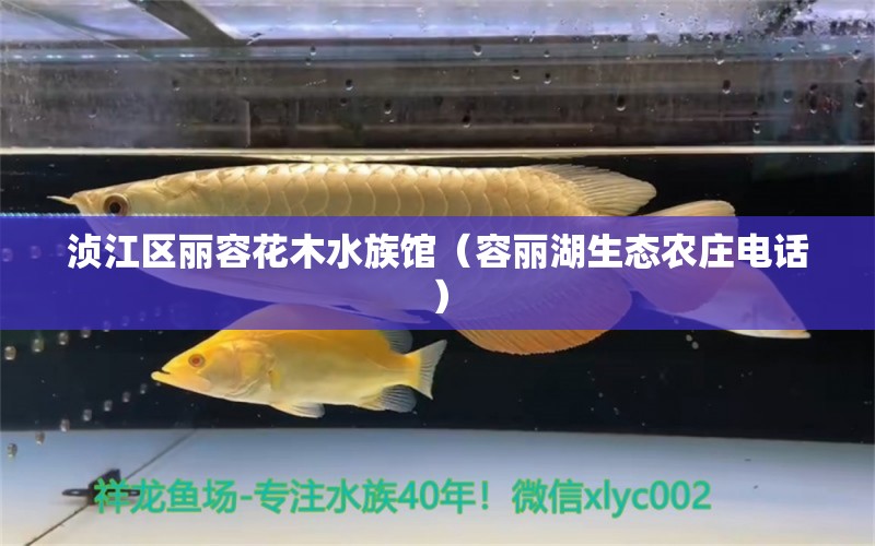 湞江區(qū)麗容花木水族館（容麗湖生態(tài)農(nóng)莊電話）